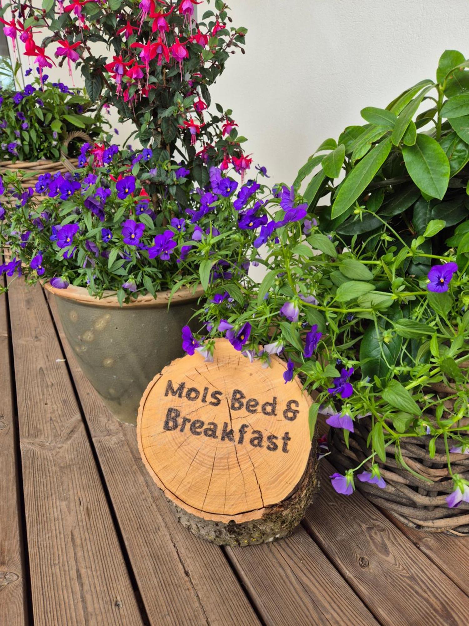 Mols Bed & Breakfast Knebel Exterior photo